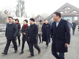 河南师大附中双语国际学校关于校园文化整体创意与构建的公告